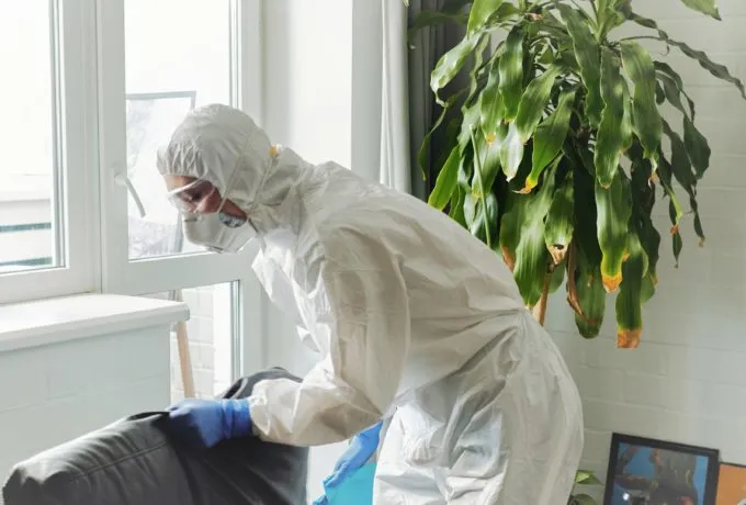 En bild på Sanering