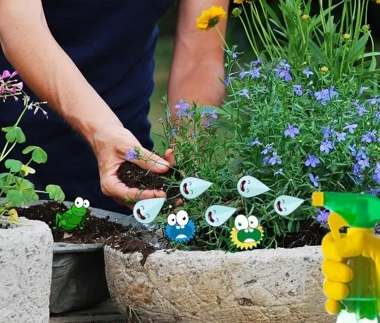 Hur bekämpar jag ohyra från mina växter?